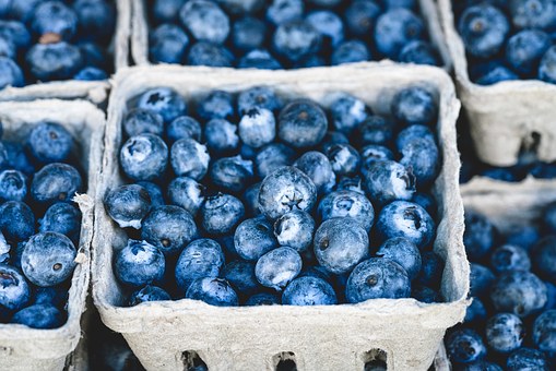 Blueberry, Blue, Delicious, Fruit, Food