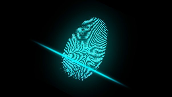 Finger, Fingerprint, Security, Digital