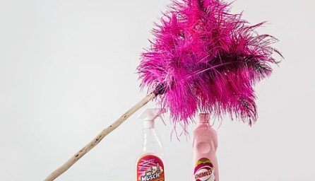 feather duster 709124 340
