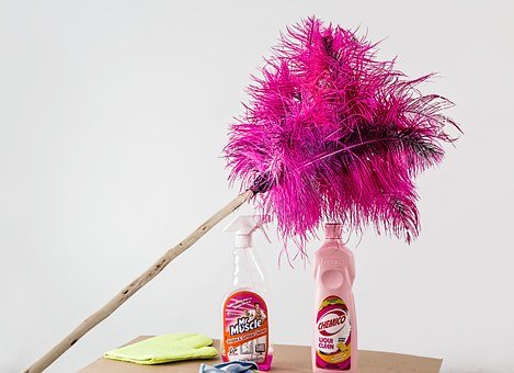 feather duster 709124 340