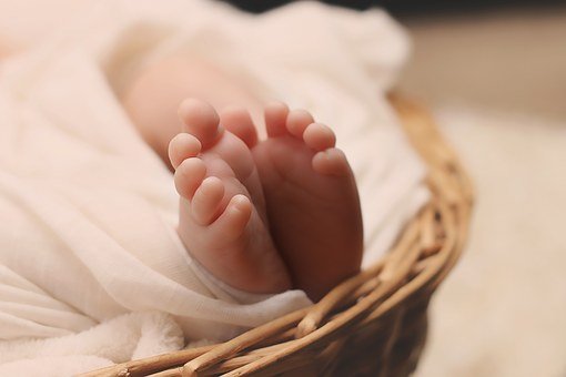 Newborn, Baby, Feet, Basket, Young