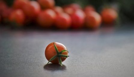 tomatoes 5606462 340