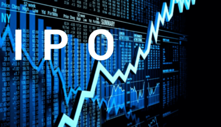 What is the Difference Between IPO and Stock?