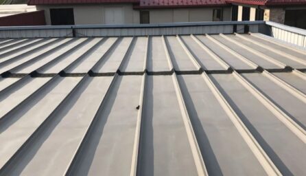What is the Cheapest Commercial Roof?