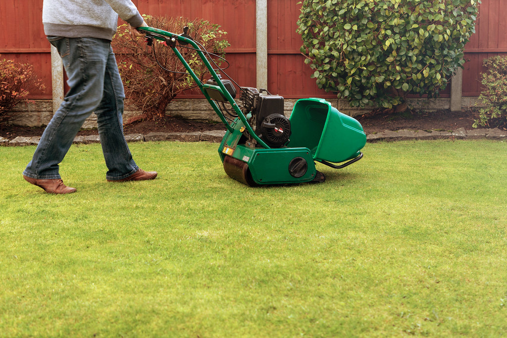 ultimate guide to professional lawnmowing services in tauranga